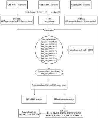 Differential Expression and Bioinformatics Analysis of circRNA in Non-small Cell Lung Cancer